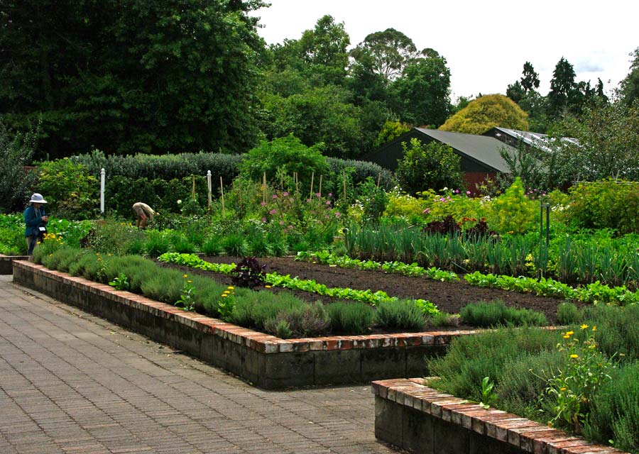Kitchen Garden, Hamilton Gardens NZ