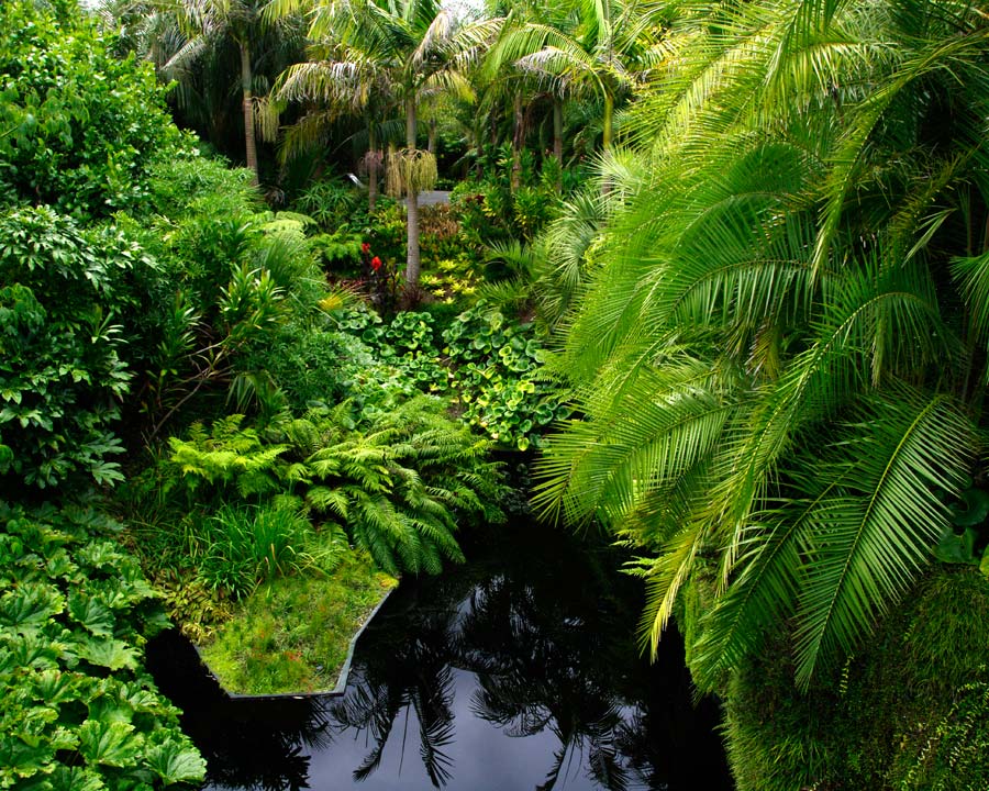 View from bridge in Tropical Garden, Hamilton Gardens NZ