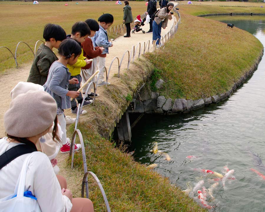 Korakuen Garden - Children feeding the carp from on the many bridges