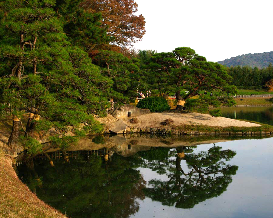 Korakuen Garden - pines on the banks of  Sawa-no-ike pond