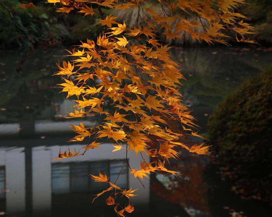 Shoyoen Gardens, Nikko, Japan