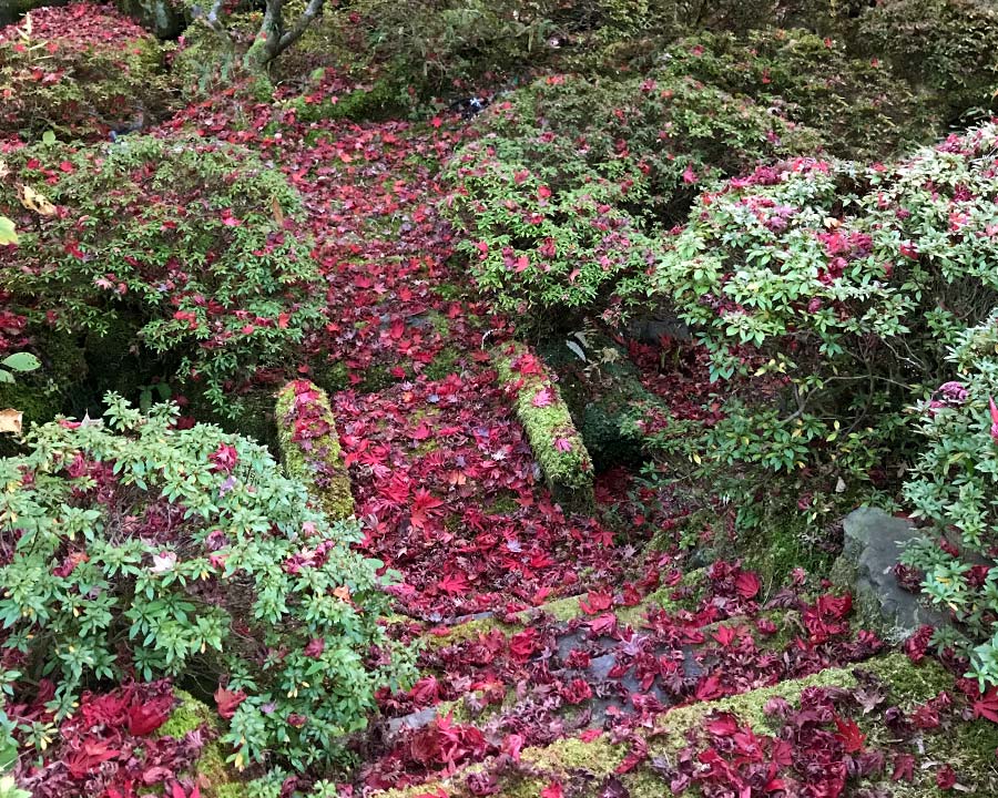 Shoyoeni Garden, Nikko, Japan