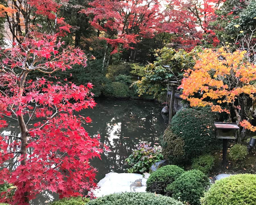Shoyoen Garden - another viewpoint from path