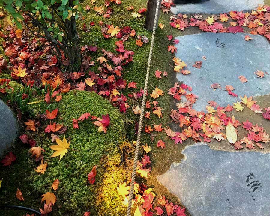 Shoyoeni Garden - autumn leaves on path