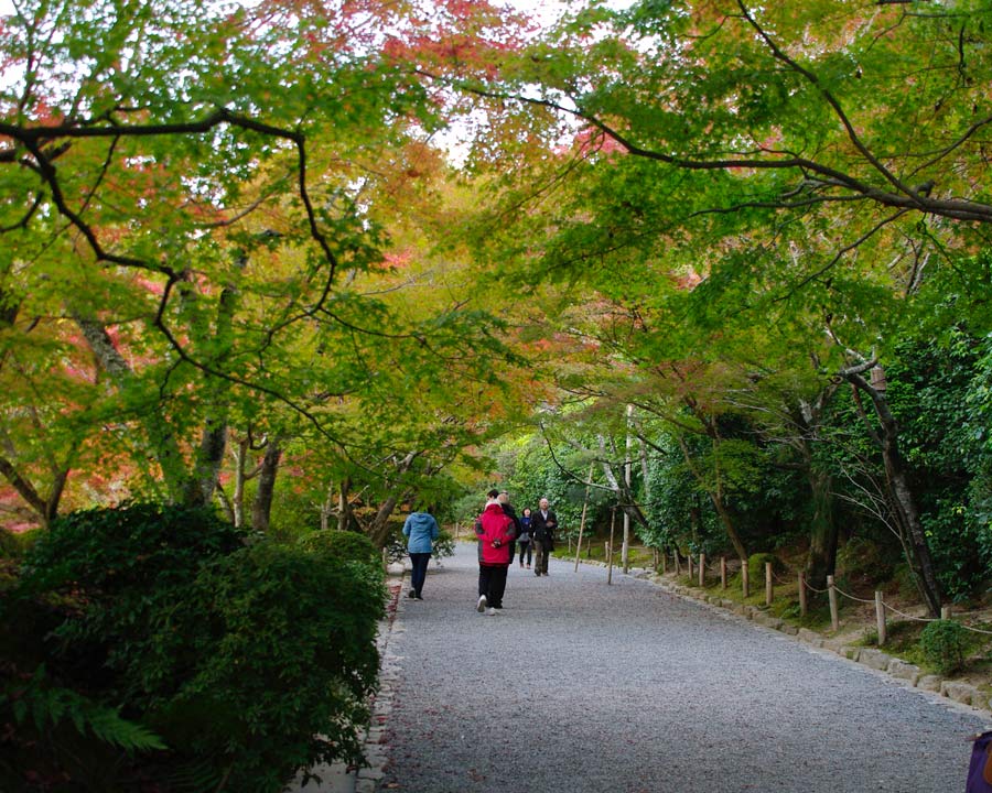 Ryoanji Zen Rock Garden, Kyoto - Tree lined paths between entrance and temple