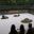 Ryoanji Zen Rock Garden, Kyoto - Time to sit and comtemplate the meaning of the rock arrangment