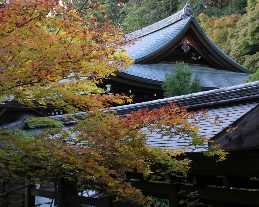 Ryoanji Zen Rock Garden, Kyoto roof of Main Hall