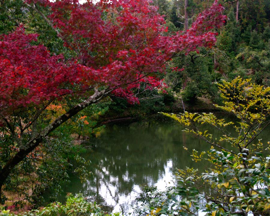 Kinkaku-ji, Golden Pavillion and Garden - An-min-taku Pond