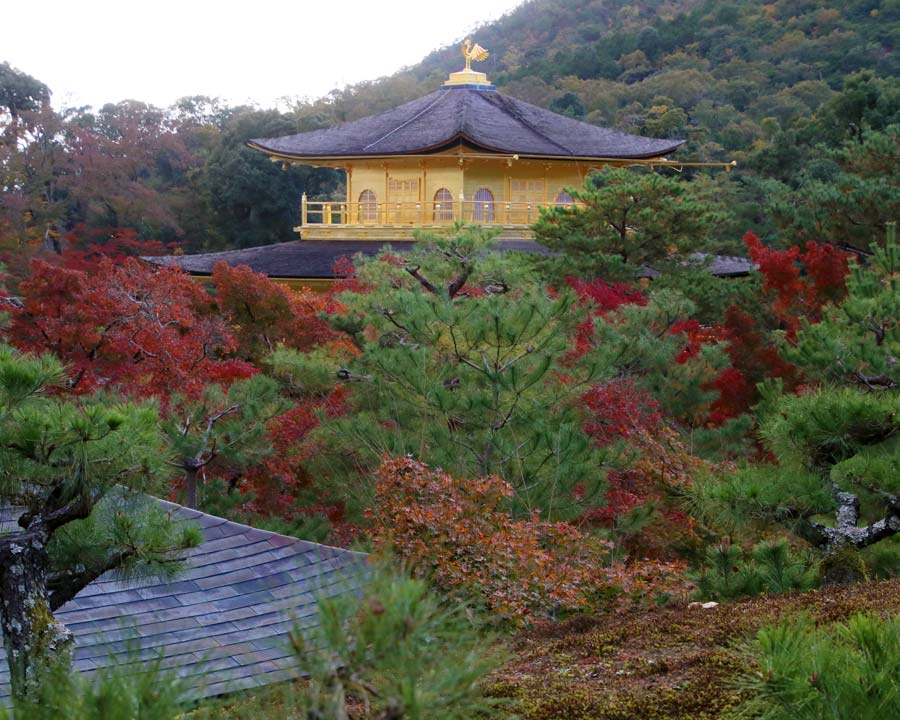 Kinkaku-ji, Golden Pavillion and Garden - view above the trees