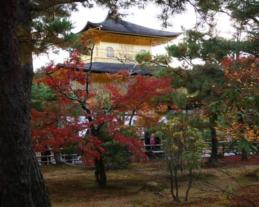 Kinkaku-ji, Golden Pavillion and Garden - view through trees