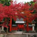 Tenryu-ji Temple Gardens 