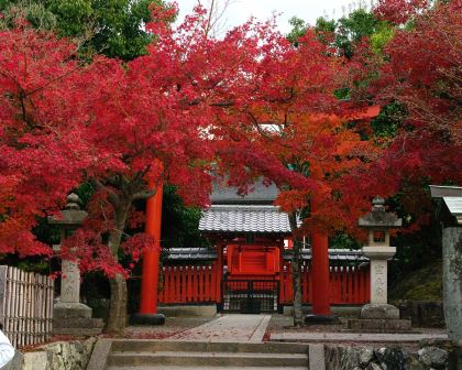 Tenryuji-Temple Gardens - entrance gate