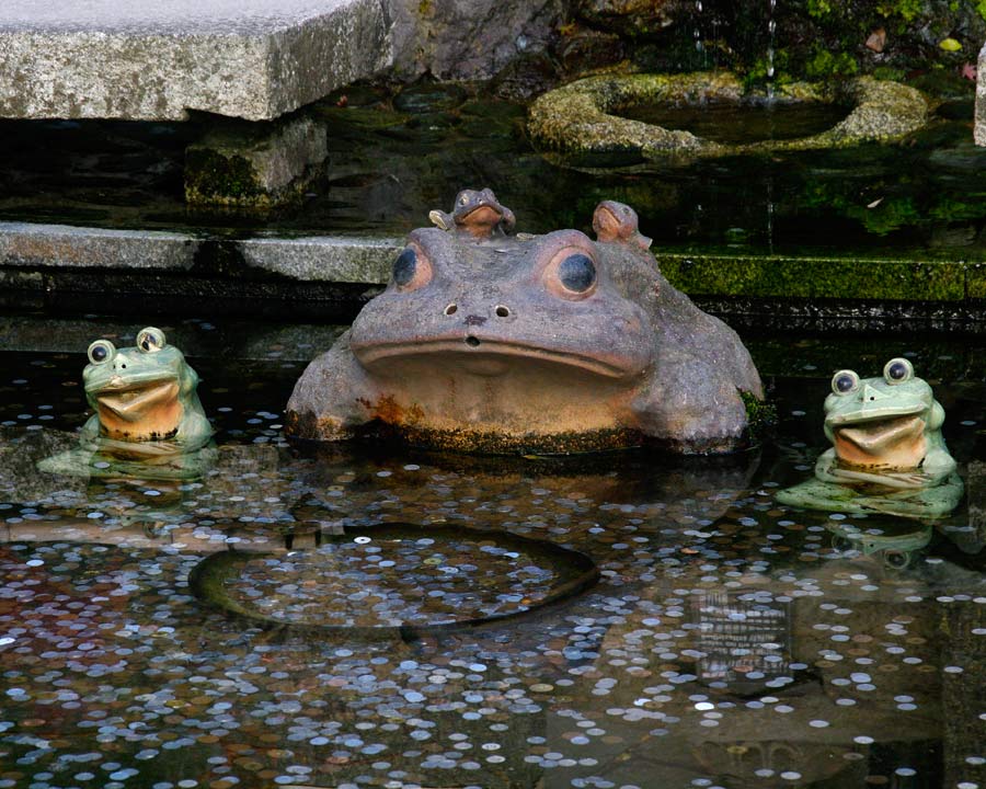 Frog fountain in the gardens of Tenryuji Temple