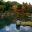 Sogenichi Pond - Tenryu-ji Temple Gardens.