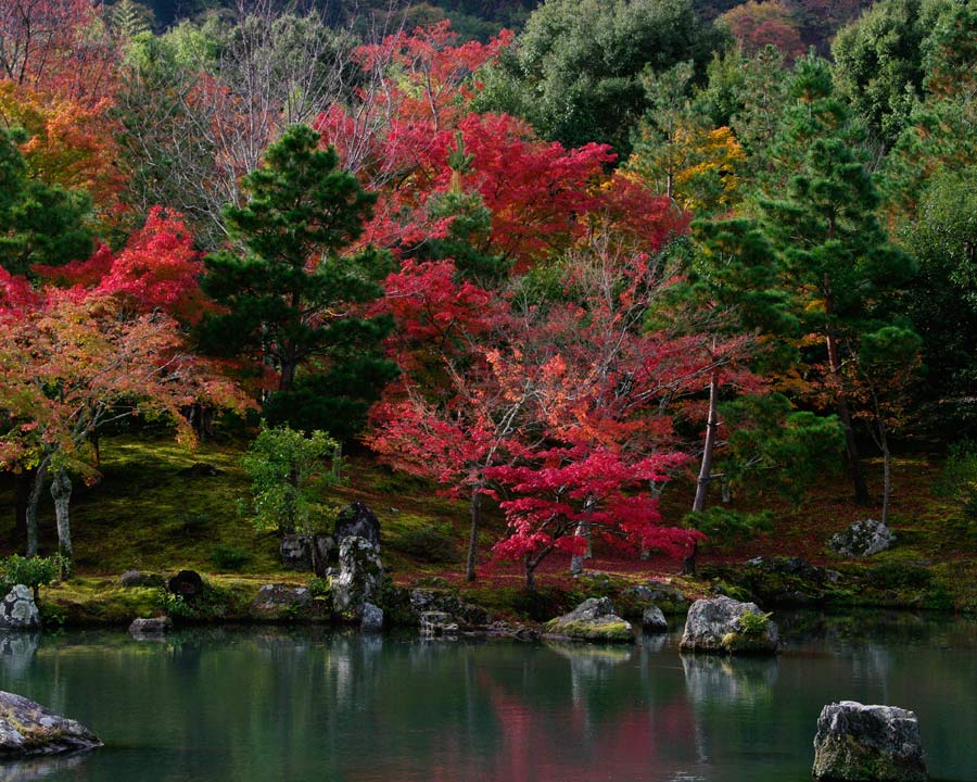 Sogenichi Pond - Tenryu-ji Temple Gardens.