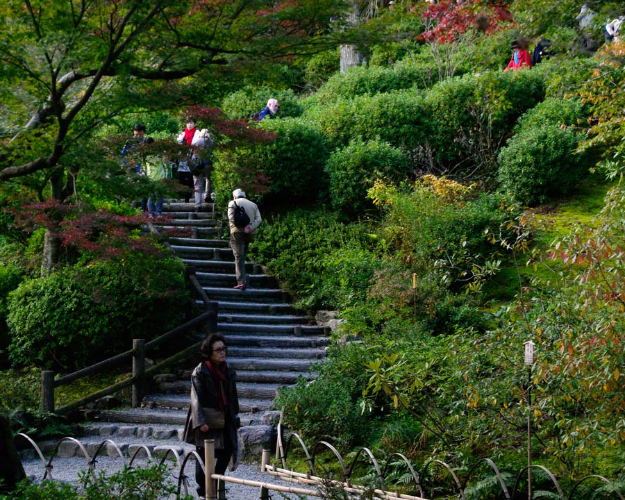 The gardens of Tenryuji Temple
