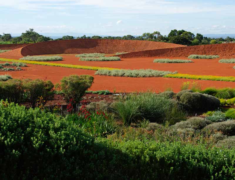 The Red Sand Garden Cranbourne makes a stunning contrast the native flower beds surrounding it.