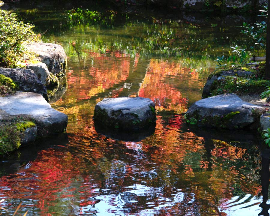 Isuien Gardens - Stepping stones across a stream, autumn colour reflected in the slow moving stream