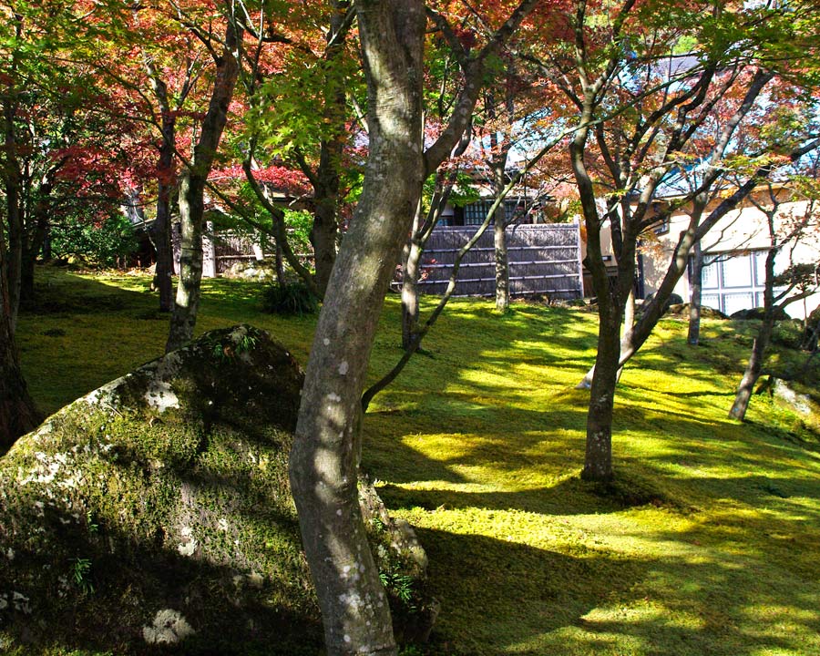Hakone Museum of Art Moss Garden in autumn