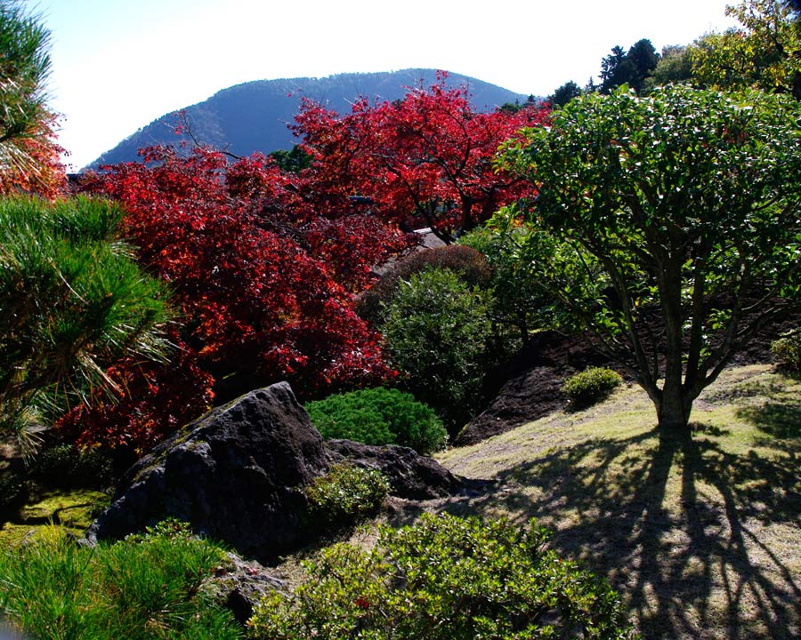 Hakone Museum of Art.  Sekiraku-en Garden adjacent to Moss Garden - open to the public for one week a year during autumn