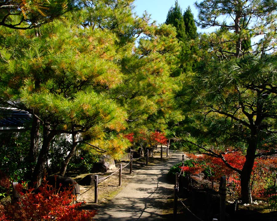 Hemiji Koko-en, Garden of Nine Rooms - Room 6 The Garden of Pine Trees
