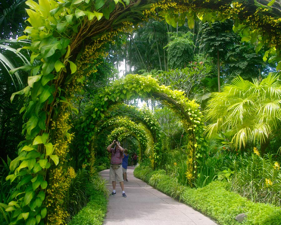 Singapore Botanic Gardens - Orchid Arches in Orchid Garden