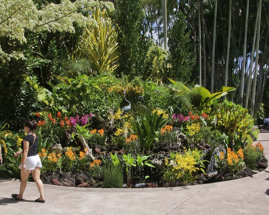 Singapore Botanic Gardens Orchid Garden