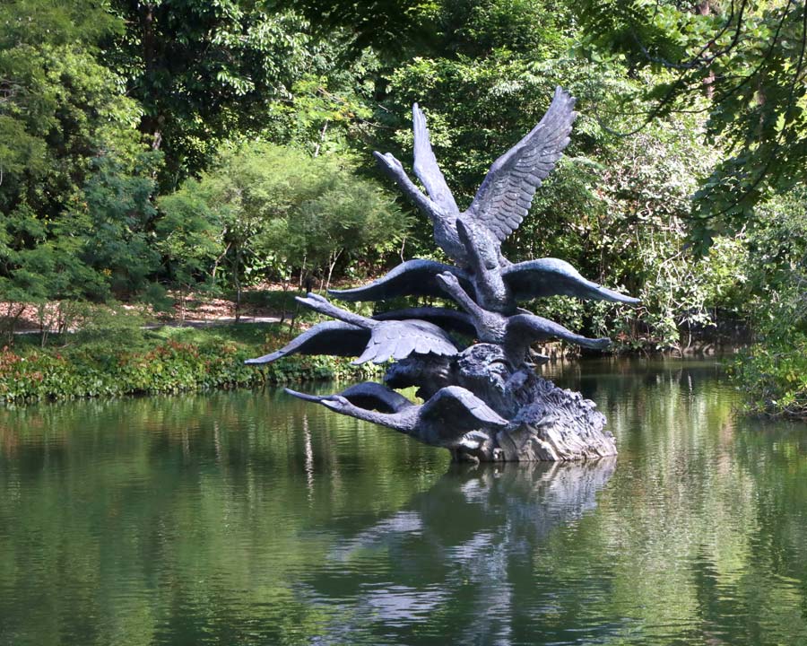 Singapore Botanic Gardens Swan Lake