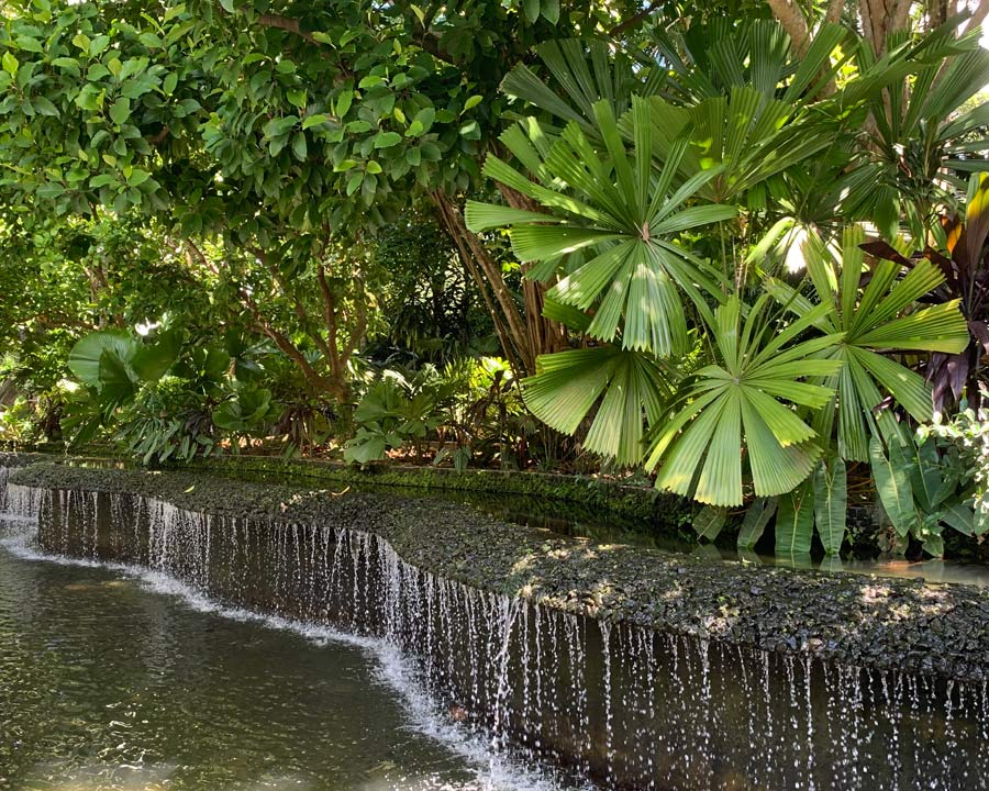 Singapore Botanic Gardens - water features