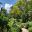 Singapore Botanic Gardens - Path to Healing Garden
