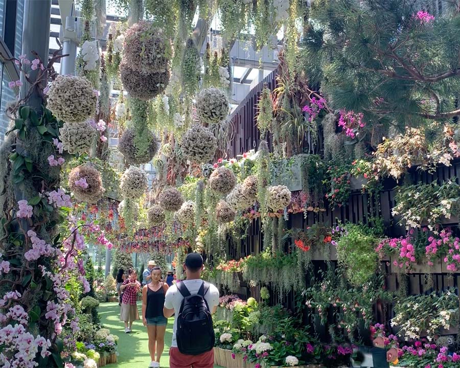 Gardens by the Bay - Singapore. Flower Fantasy
