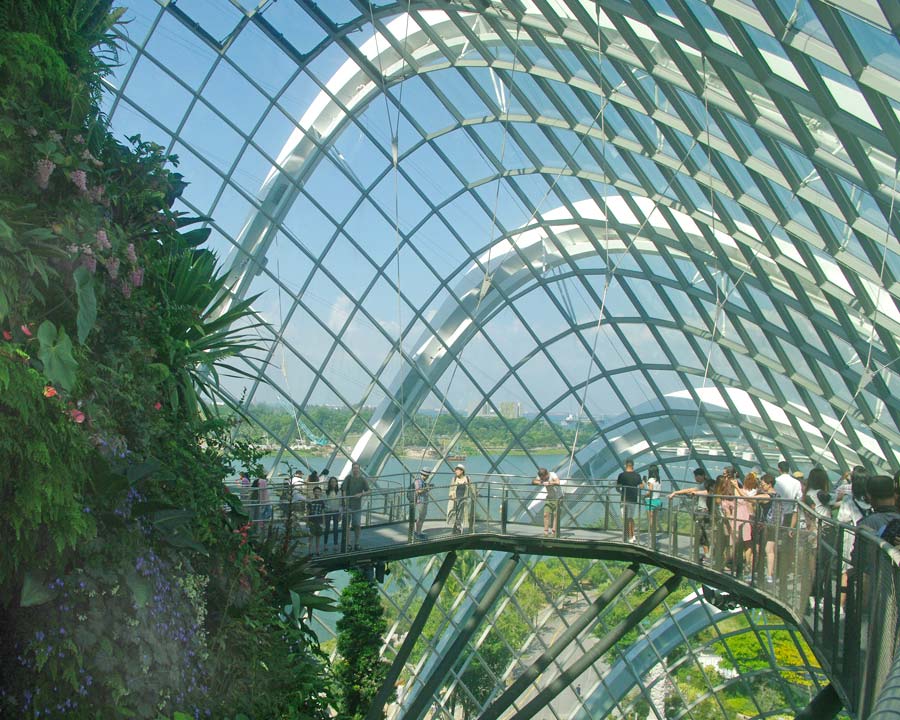 Gardens by the Bay - Singapore. Cloud Forest Dome - Cloud Walkways