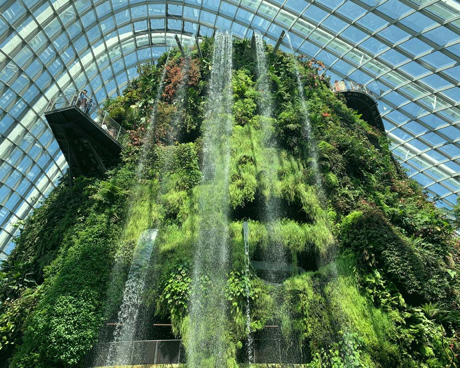 Gardens by the Bay - Singapore. Cloud Forest Dome