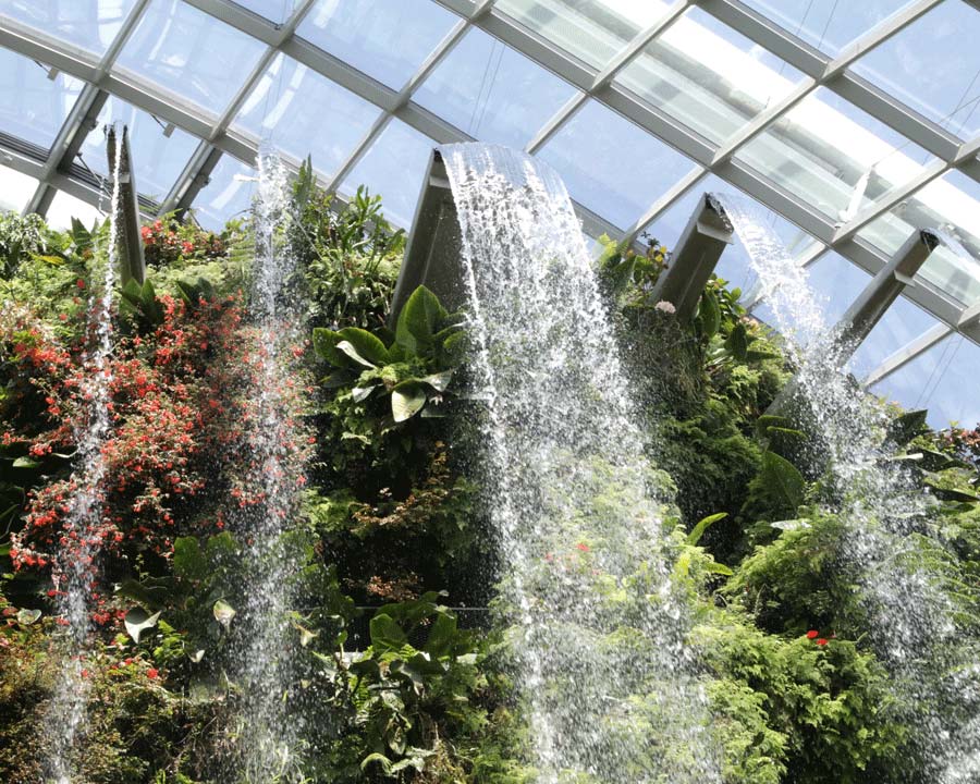 Gardens by the Bay - Singapore. Cloud Forest Dome - Waterfall