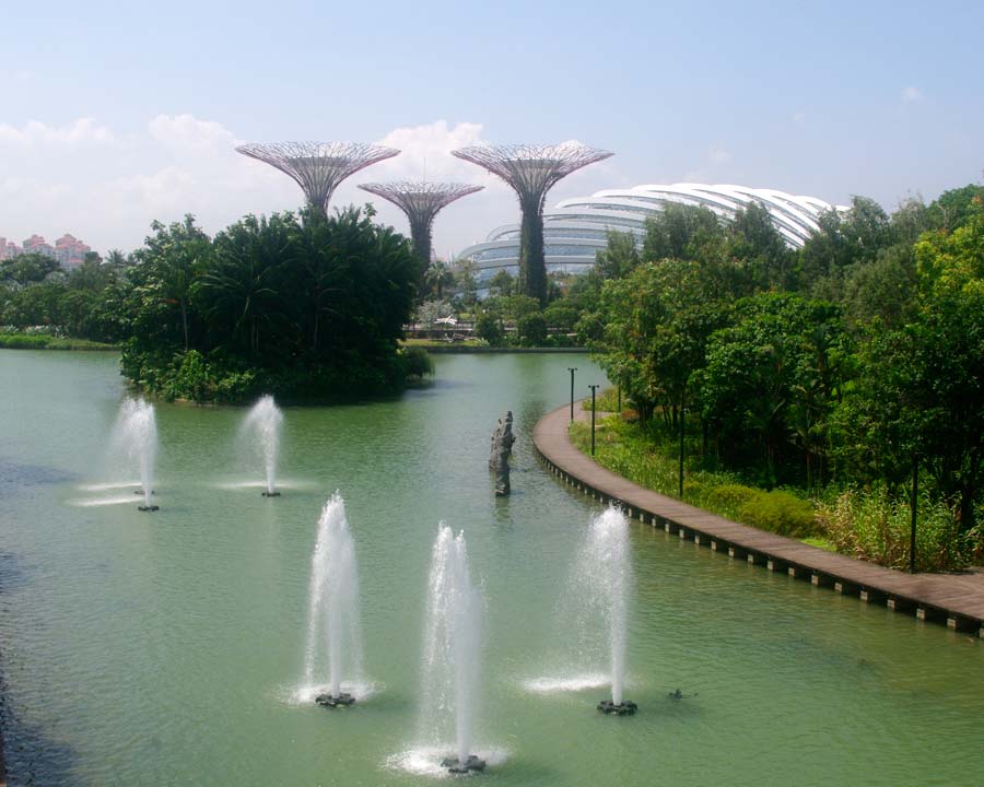 Gardens by the Bay - Singapore. View across Dragonfly Lake to Supertrees and Domes