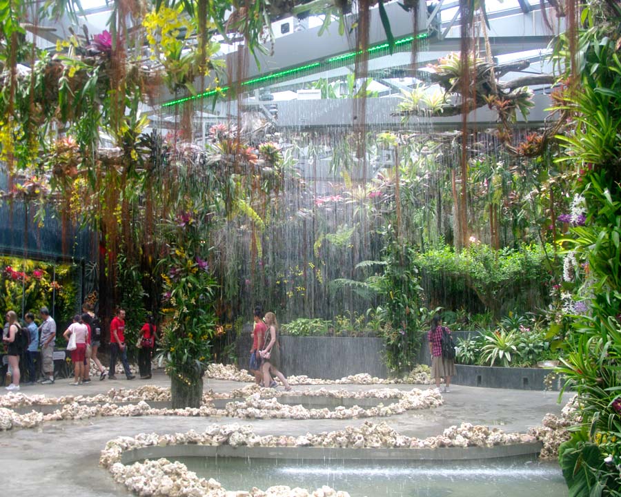 Gardens by the Bay - Singapore. Flower Fantasy Rainforest