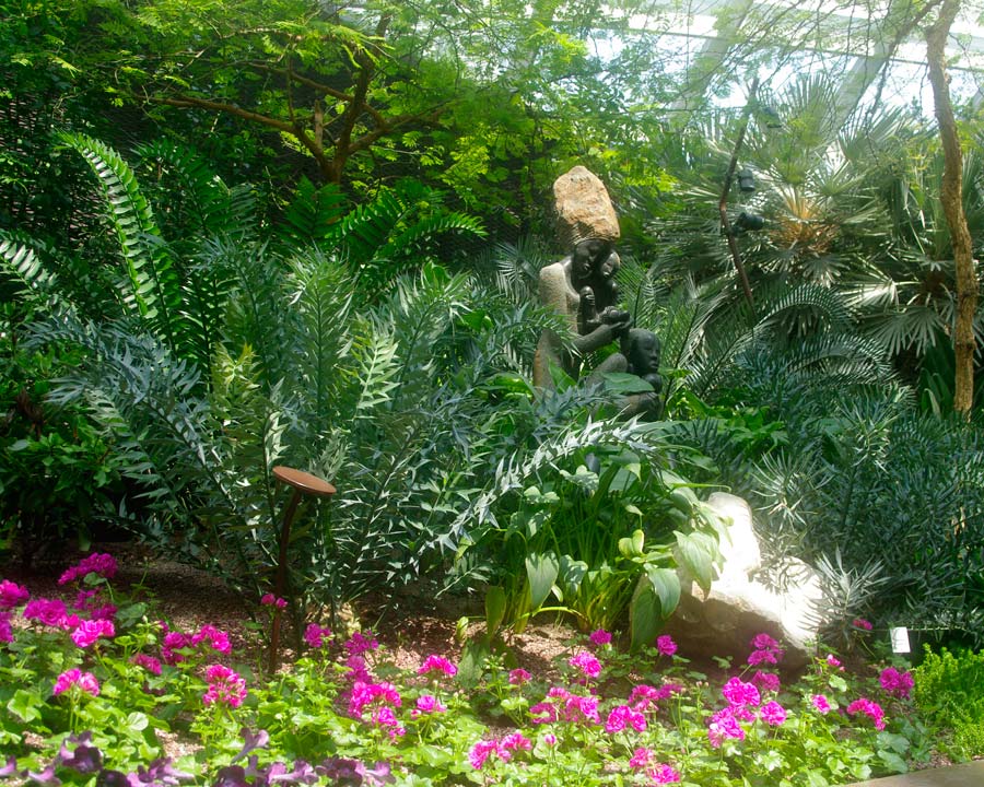 Gardens by the Bay - Singapore. Flower Dome South African Display.