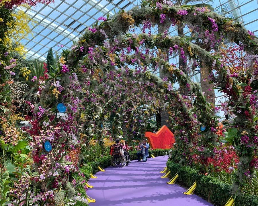 Gardens by the Bay - Singapore. Flower Dome. Asian Tropical Display Orchid Arch