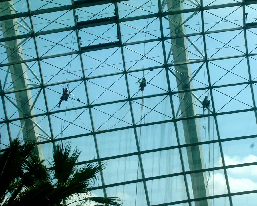 Gardens by the Bay - Singapore. Flower Dome - Keeping the windows clean