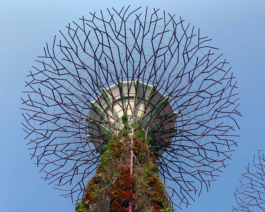 Gardens by the Bay - Singapore. Supertrees