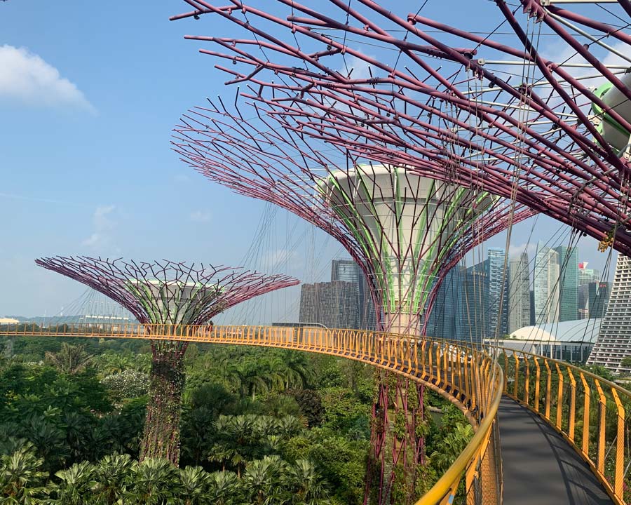 Gardens by the Bay - Singapore. Supertree Skyway