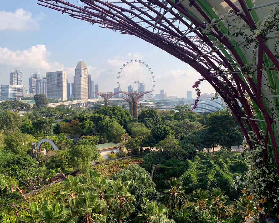 Supertree view Singapore Gardens by the Bay