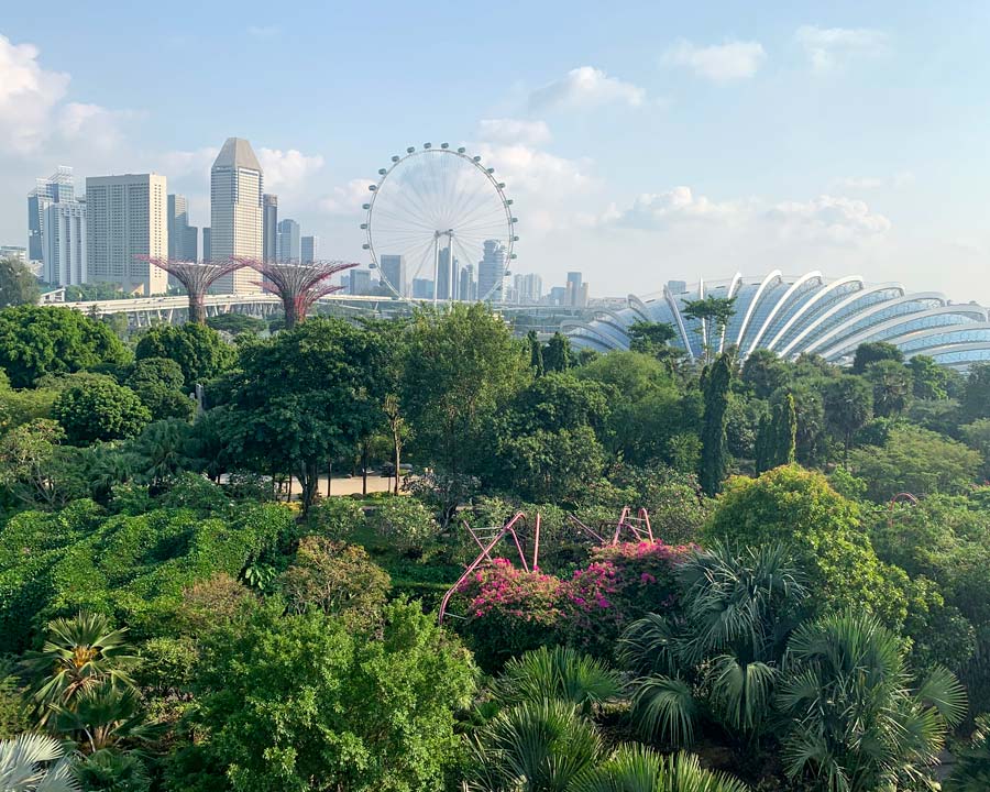 Gardens by the Bay - Singapore. Supertree Skyway - view across gardens to city