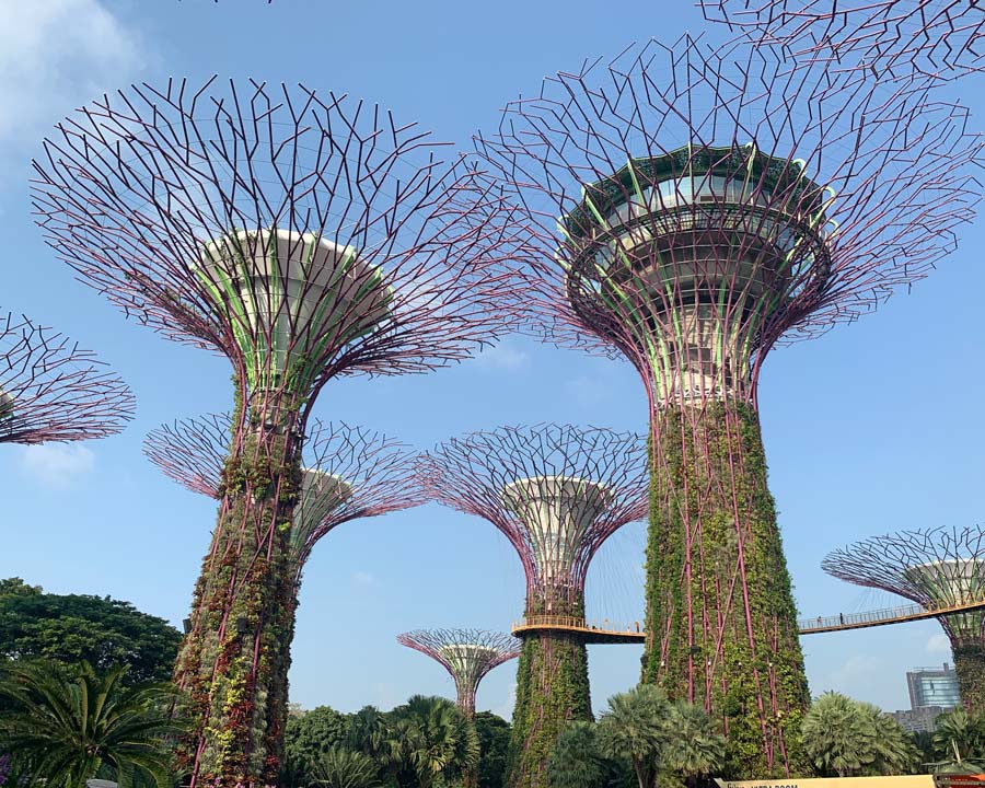 Gardens by the Bay, Singapore. Supertree Grove