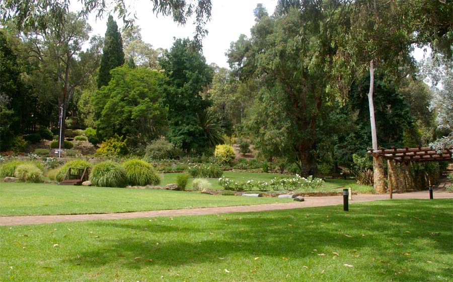 Plenty of space for picnics - Araluen Botanic Park