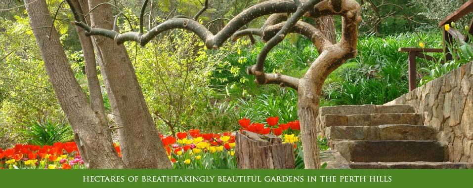In springtime, Araluen are breathtakingly beautiful gardens