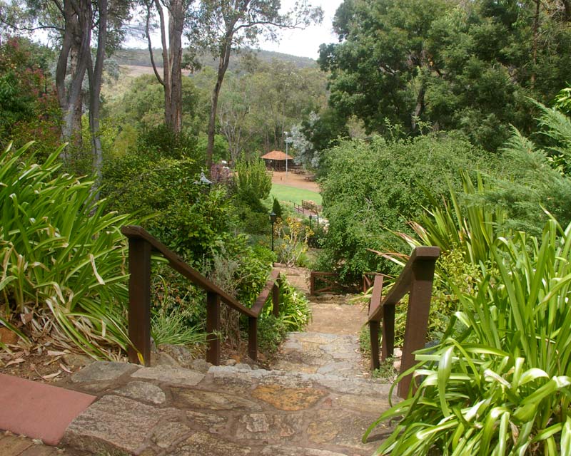 Araluen Botanic Park , a lovely place to just wander