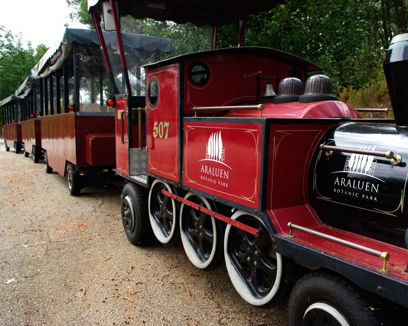 The train runs mainly in peak season springtime at Araluen Botanic Park