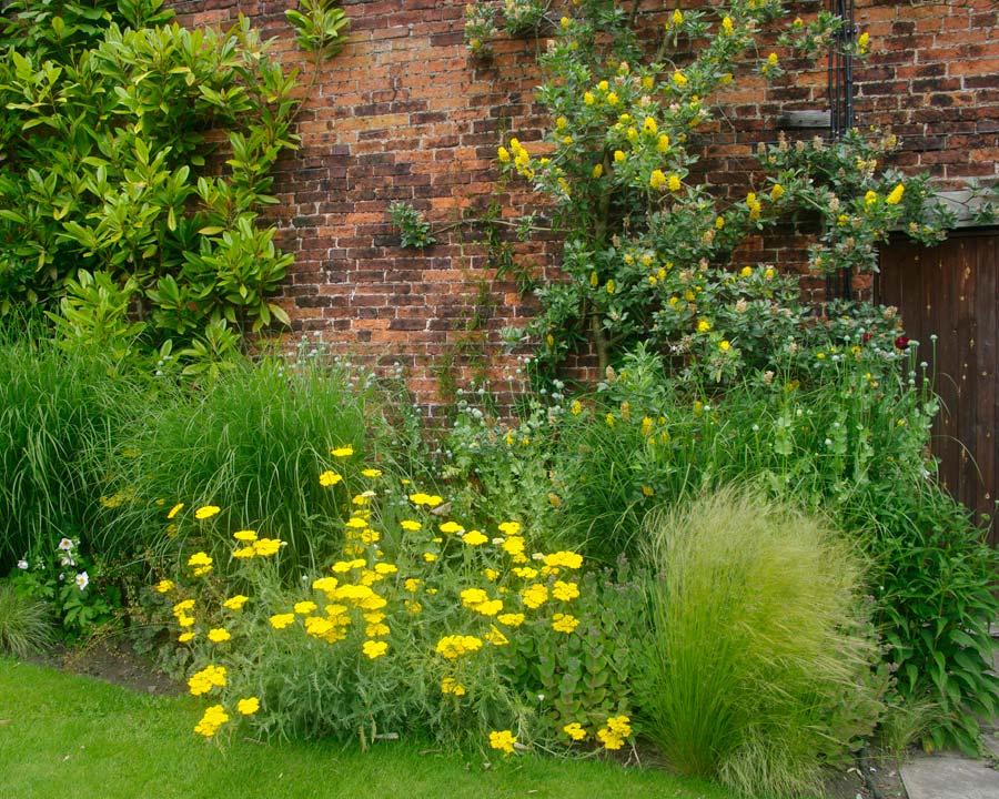 Garden Borders - Alnwick Garden