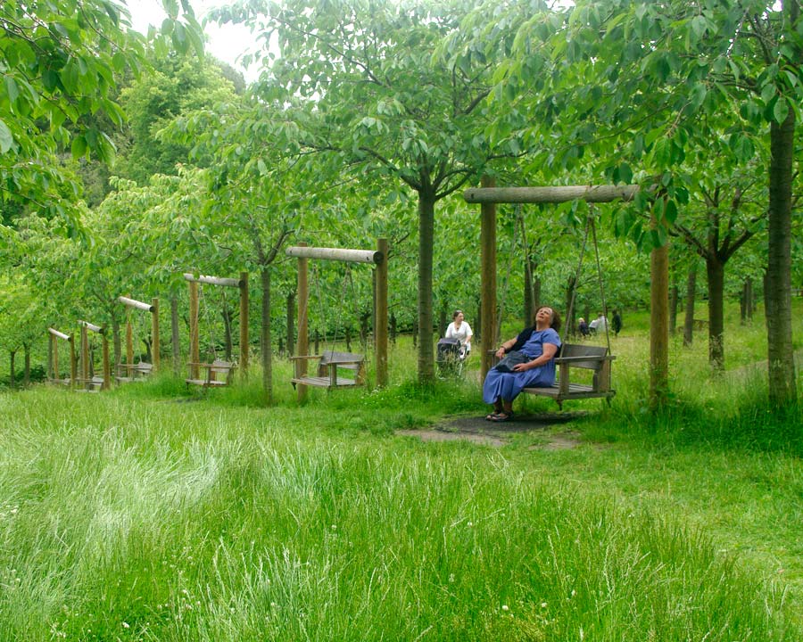 Swings in Cherry Orchard - Alnwick Garden